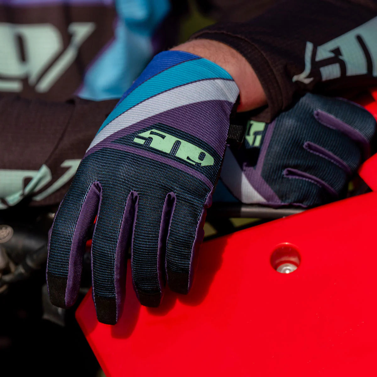 509 Limited Edition : 4 Low Gloves