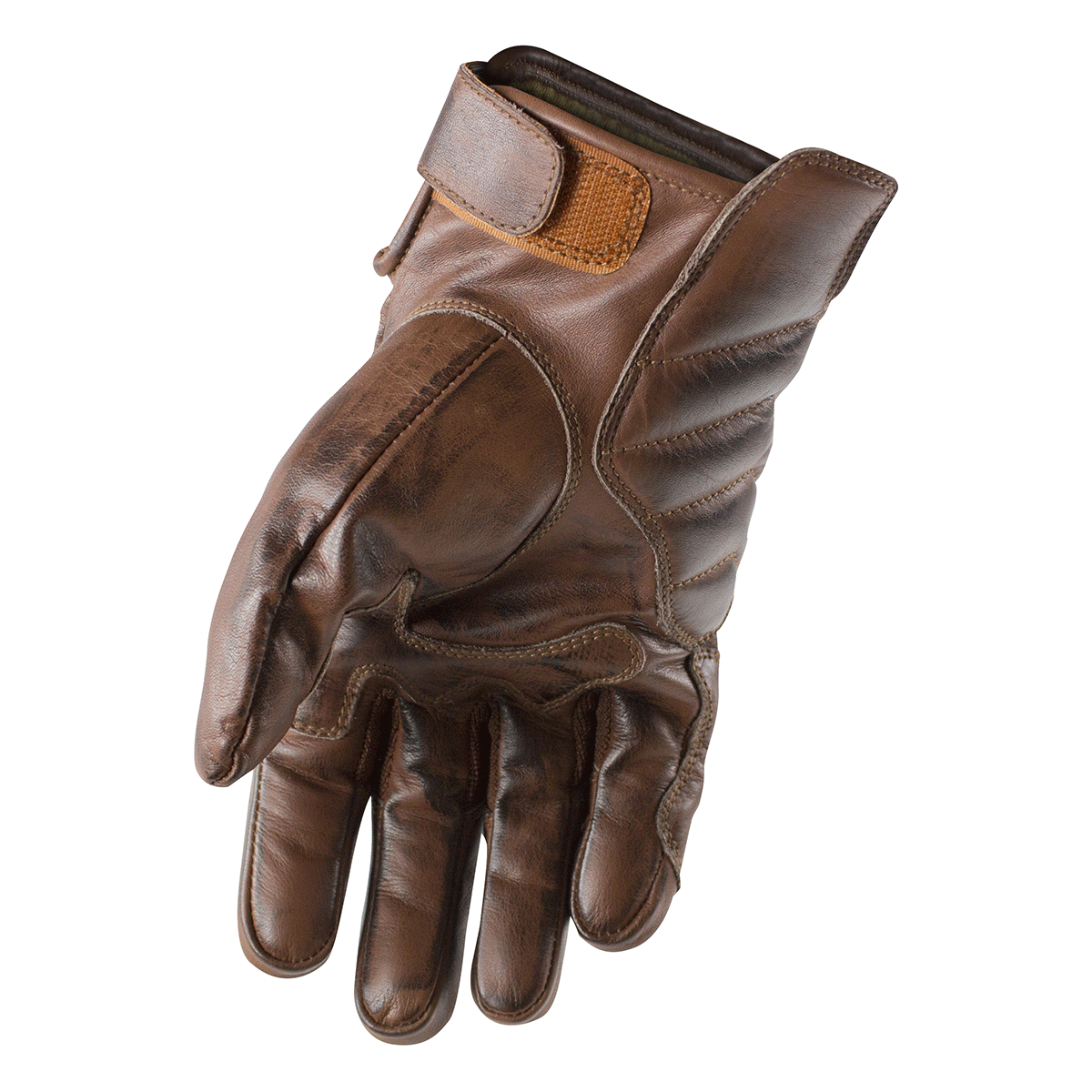 Gants de café Trilobite